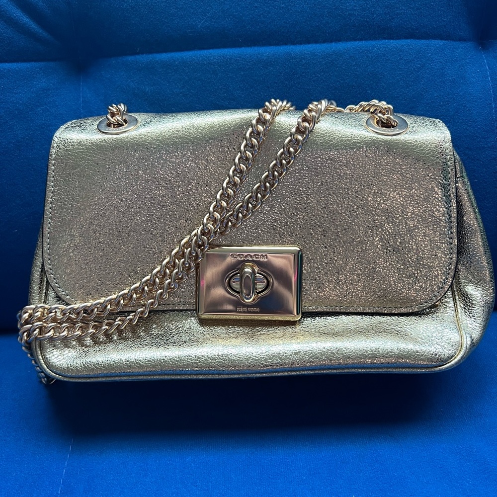 Small Coach Purse